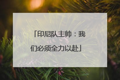 印尼队主帅：我们必须全力以赴